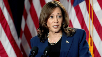 Economist warns of what people 'don't get' about Harris and your money - Fox News