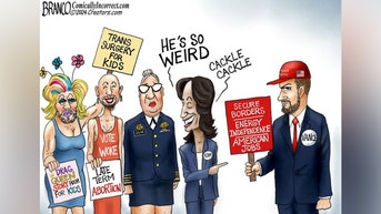 Political cartoons of the day - Fox News