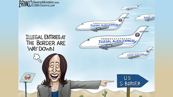 Political cartoons of the day - Fox News