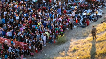 Gov takes action after being fed up with footing medical costs for illegal immigrants - Fox News