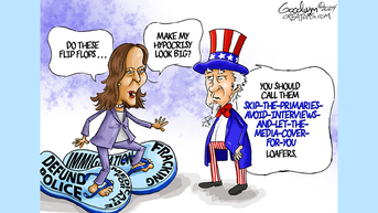 Political cartoons of the day - Fox News