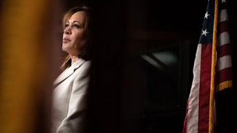 Kamala Harris hasn't held a press conference  as presumptive Dem nominee - Fox News