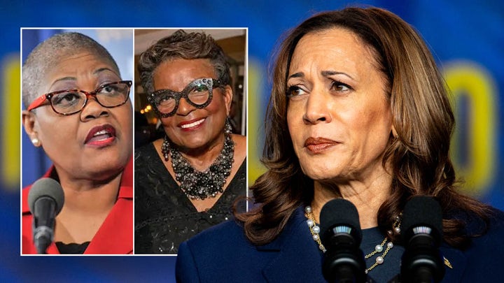 Racist rhetoric from activists tied to Harris could threaten to derail Democrats’ message of ‘unity’ - Fox News