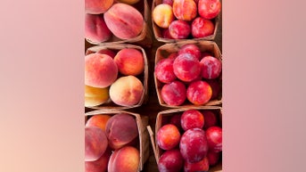 PEACHES vs. PLUMS — Which is better? - Fox News