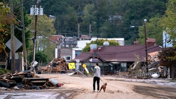 Woman and dog in middle of road - Fox News