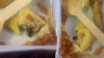 Airline passenger reportedly falls ill after eating cockroach-filled omelet - Fox News