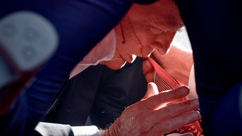 Secret Service agent protecting Trump at Butler rally called a toll-free number for help - Fox News