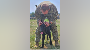 Soldier PLEADS for puppy's rescue - Fox News