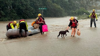 Boat saves animals - Fox News