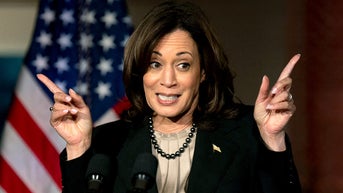 Reporter's bleak picture of what could happen to Harris campaign if polling goes south - Fox News