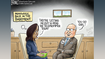 Political cartoons of the day - Fox News