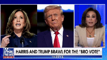 Trump is 'breaking through' on 'bro vote' that could be a key to victory, Judge Jeanine says - Fox News