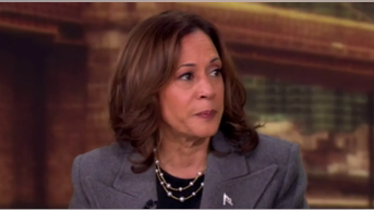 VP Harris repeatedly pivots to Trump when she's grilled on her immigration record - Fox News