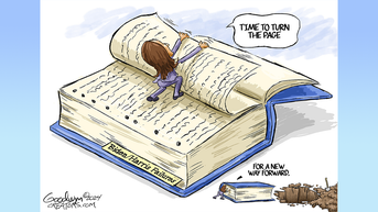 Political cartoons of the day - Fox News