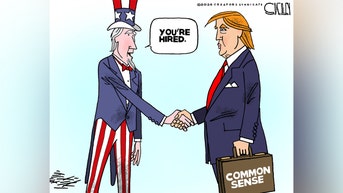 Political cartoons of the day - Fox News