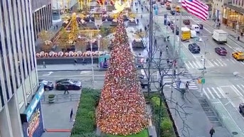 The 'All-American Christmas Tree' brings holiday cheer to FOX Square - Fox News