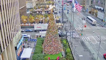 The 'All-American Christmas Tree' brings holiday cheer to FOX Square - Fox News