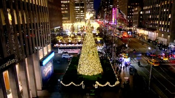 The 'All-American Christmas Tree' brings holiday cheer to FOX Square - Fox News