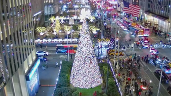 The 'All-American Christmas Tree' brings holiday cheer to FOX Square - Fox News