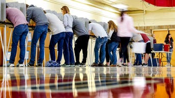 Republicans score victory in Georgia fight over election observers, RNC chairman says - Fox News