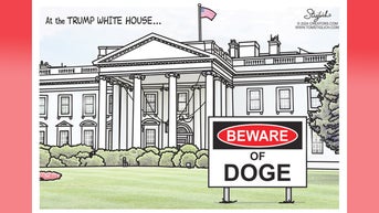 Political cartoons of the day - Fox News