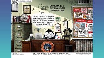 Political cartoons of the day - Fox News