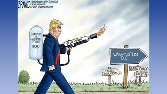 Political cartoons of the day - Fox News