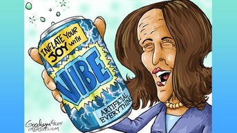 Political cartoons of the day - Fox News