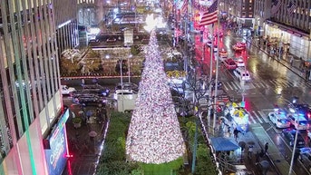 The 'All-American Christmas Tree' brings holiday cheer to FOX Square - Fox News