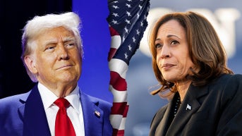 Three reasons why Trump ultimately triumphed over VP Harris - Fox News