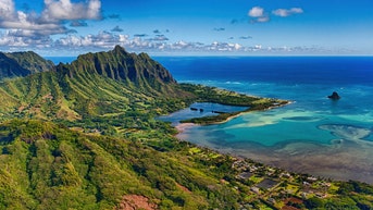 Chef puts his own spin on ‘Hawaiian classic’ and shares the recipe so you can too - Fox News