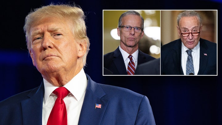 Experts say Trump will have chance to strike back as Senate Democrats ram through nominees - Fox News