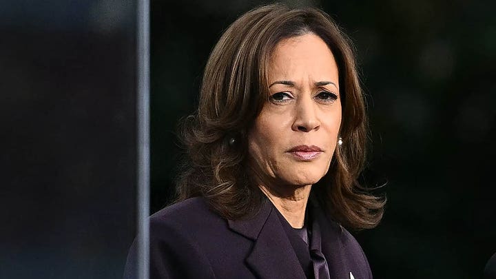 Harris surrogate gives firsthand account of what led to campaign’s crushing loss - Fox News