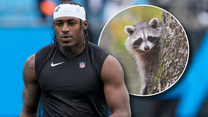 Reporter bravely tries NFL player's Christmas raccoon dinner: Video - Fox News