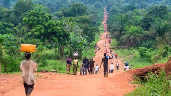 ‘Disease X’ has killed dozens — here’s what to know about mystery illness - Fox News