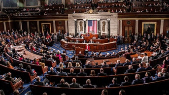 GOP rep says what Republicans need to fix in the House, before Trump returns to power - Fox News