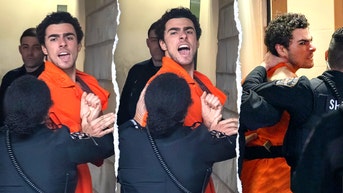 How accused Ivy League assassin could escape top punishment for targeted attack - Fox News