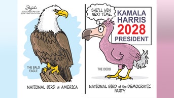 Political cartoons of the day - Fox News