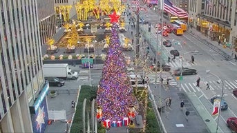 The 'All-American Christmas Tree' brings holiday cheer to FOX Square - Fox News