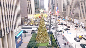 The 'All-American Christmas Tree' brings holiday cheer to FOX Square - Fox News