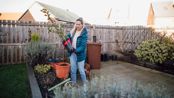 Get your garden winter-ready with these 10 products - Fox News