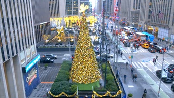 The 'All-American Christmas Tree' brings holiday cheer to FOX Square - Fox News