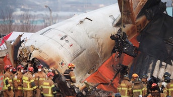 Close-up of tail - Fox News