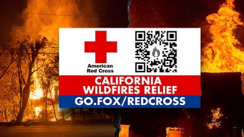 FOX Corporation donates $1M to support American Red Cross' wildfires relief efforts - Fox News