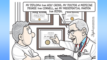 Political cartoons of the day - Fox News