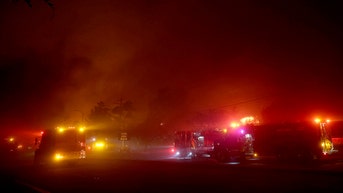 Actress warns fans of new threat in aftermath of devastating wildfires - Fox News