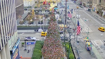 The 'All-American Christmas Tree' brings holiday cheer to FOX Square - Fox News