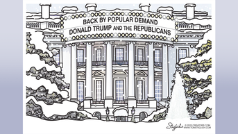 Political cartoons of the day - Fox News