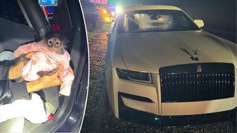 Routine traffic stop takes unusual turn after exotic animal found inside Rolls-Royce - Fox News
