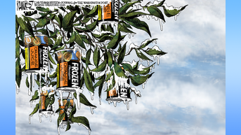 Political cartoons of the day - Fox News